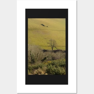 So Green Is The Valley Posters and Art